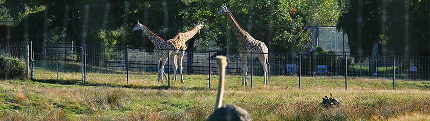 Ilahduttava Greater Vancouver Zoo
