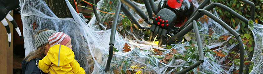 Myrskyinen halloween-viikko
