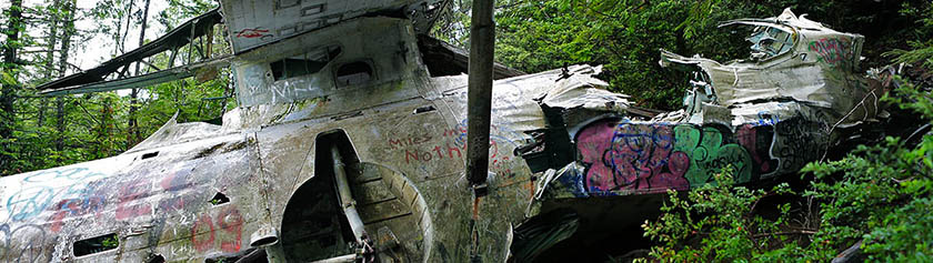 Haaksirikkoinen Tofino