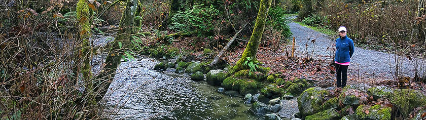 Lohennousua Serpentine Riverillä