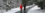 talvinen_queens_park_banner